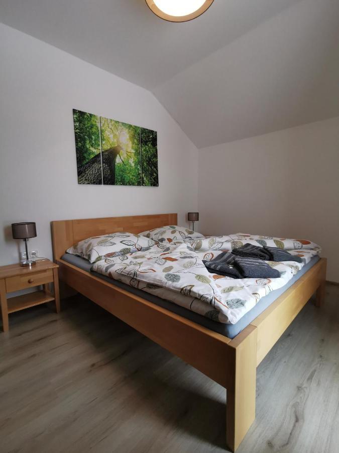 Apartman 5 Klinovec Apartment Loučná pod Klínovcem Exterior foto
