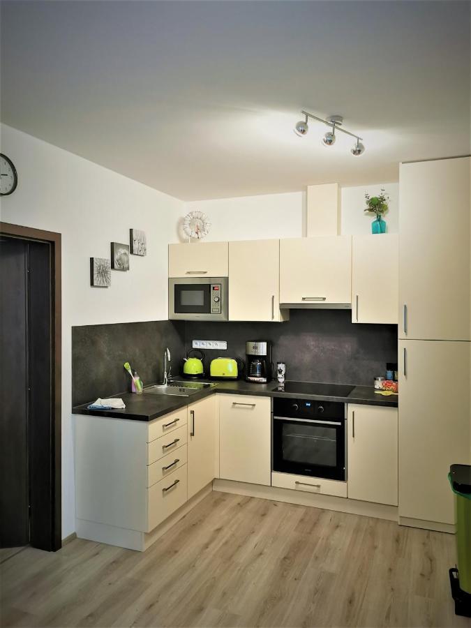 Apartman 5 Klinovec Apartment Loučná pod Klínovcem Exterior foto